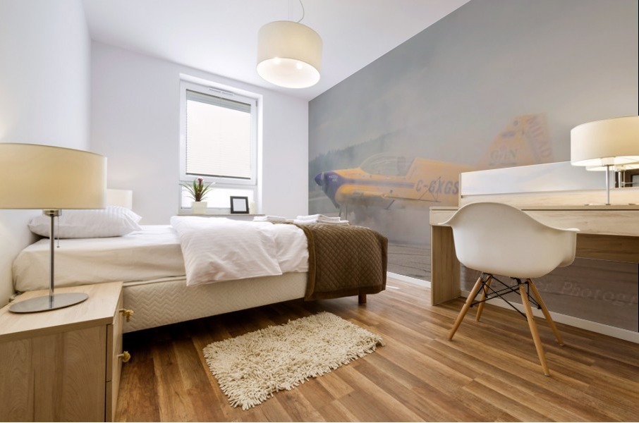 Airplane Burnout Mural print
