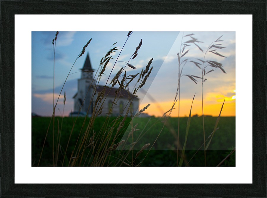 tall grass Picture Frame print
