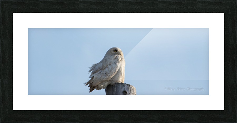 summer snowy Picture Frame print