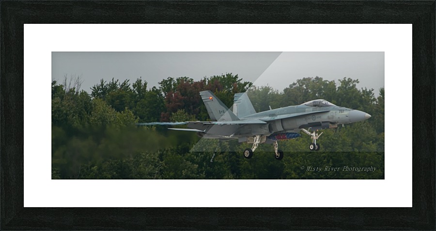 Hornet Picture Frame print