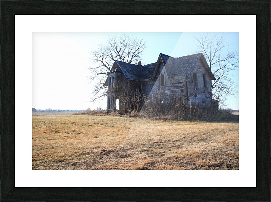 Relic Picture Frame print