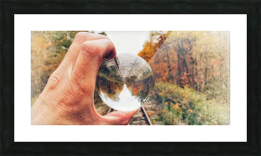 FALL TRACKS  Picture Frame print