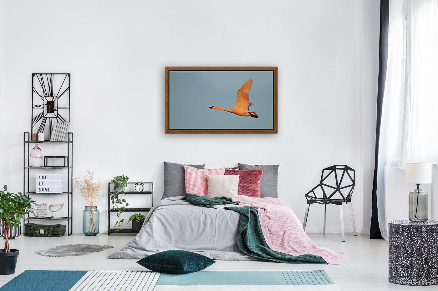 Tundra Swan Reproduction