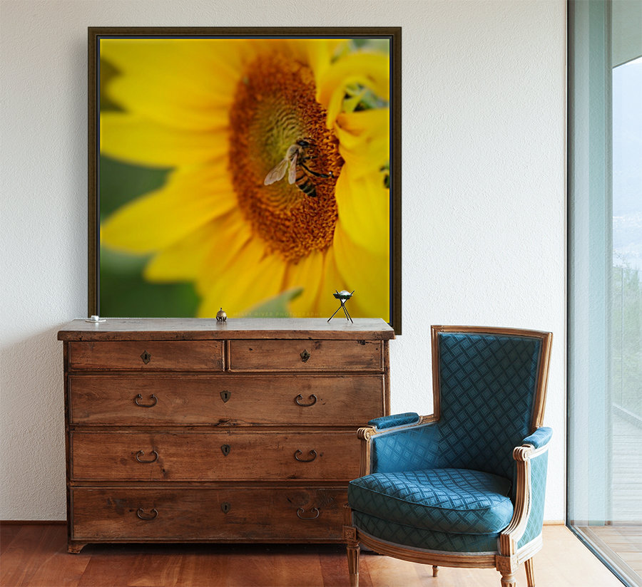 Honey Bee Reproduction