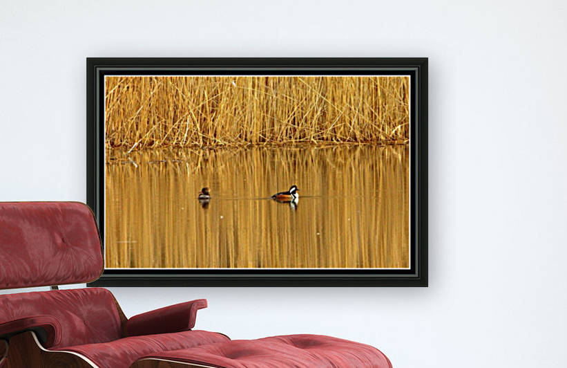Golden Pond by Jeff Vandewyngaerde