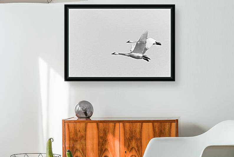 Tandem Flight by Jeff Vandewyngaerde