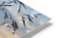 tall grass HD Metal print