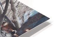 Time HD Metal print