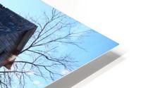Relic HD Metal print