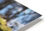 Forest floor HD Metal print