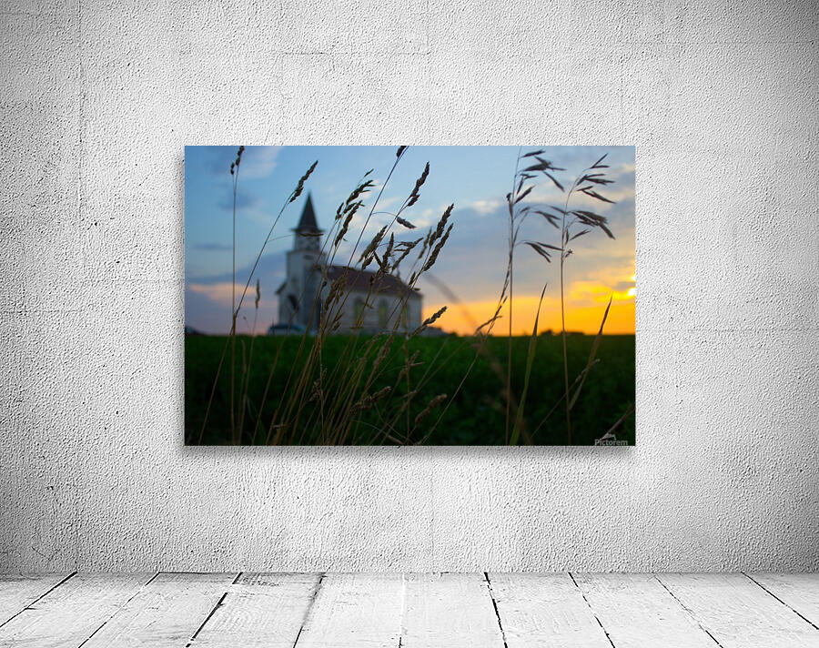 tall grass Wall Preview