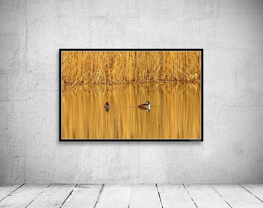 Golden Pond Wall Preview