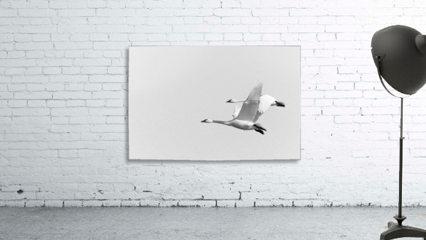 Tandem Flight Wall Preview