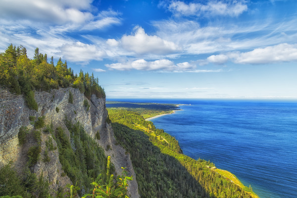 Cap des Rosiers Téléchargement Numérique