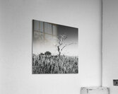 Solitaire Impression acrylique