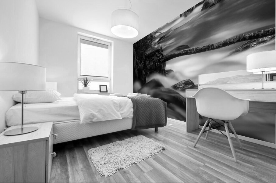 Descente Mural print