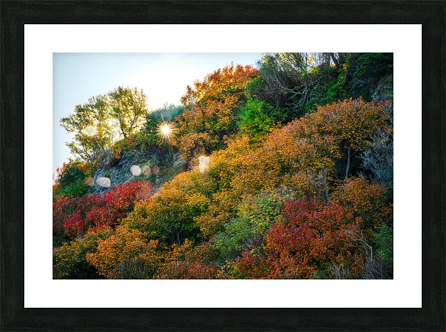 Aurore Picture Frame print