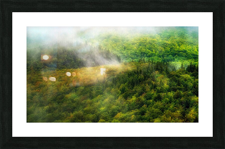 La vallee Picture Frame print