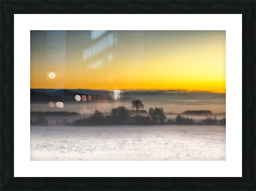 Le viel orme Picture Frame print