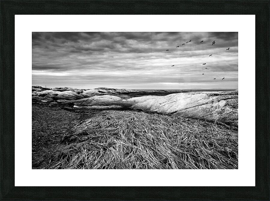 La batture Picture Frame print