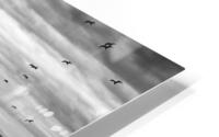 La batture HD Metal print