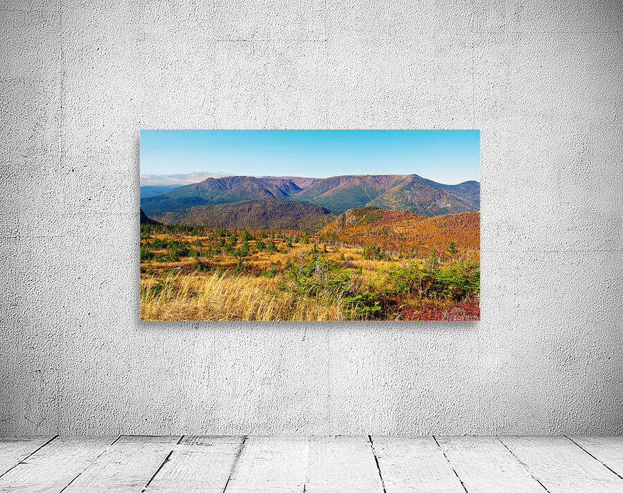 Mont Albert Wall Preview