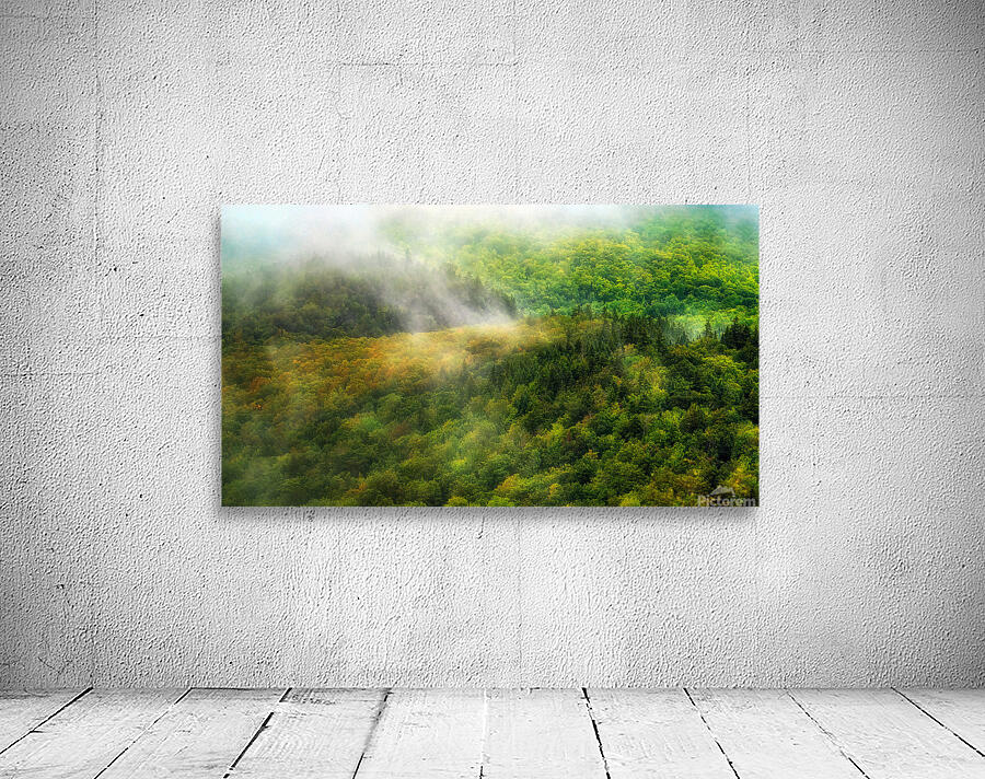 La vallee Wall Preview