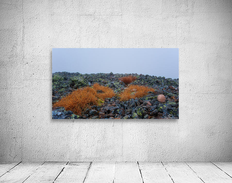 Vie au sommet Wall Preview