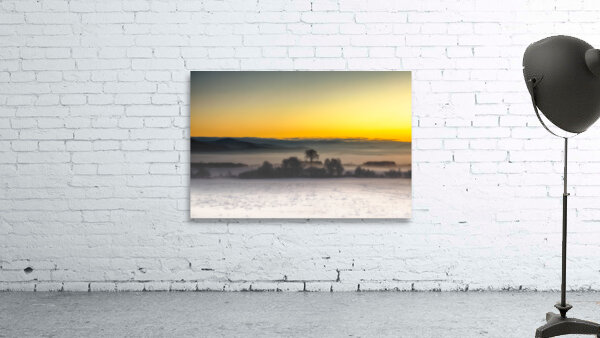 Le viel orme Wall Preview