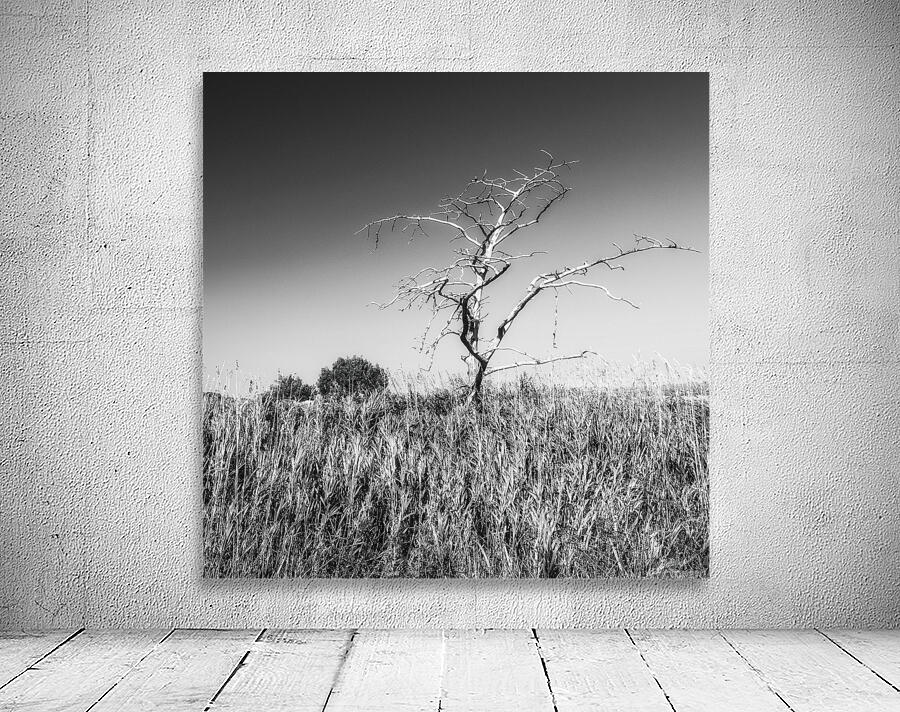 Solitaire Aperçu sur mur