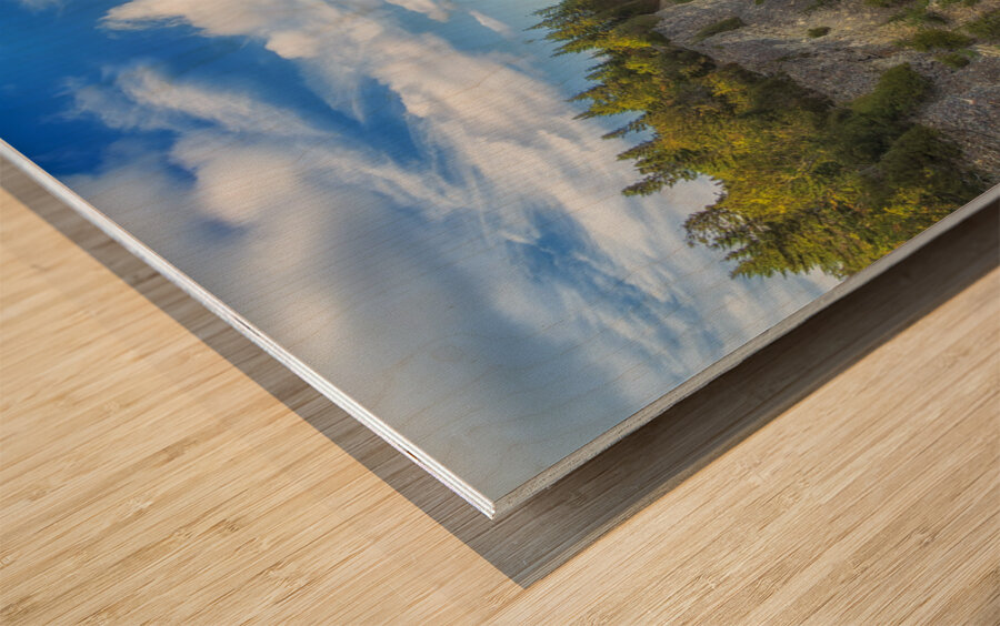 Cap des Rosiers Impression sur bois