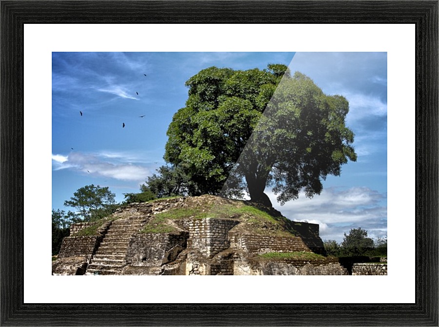 Mayan Moon Temple Picture Frame print