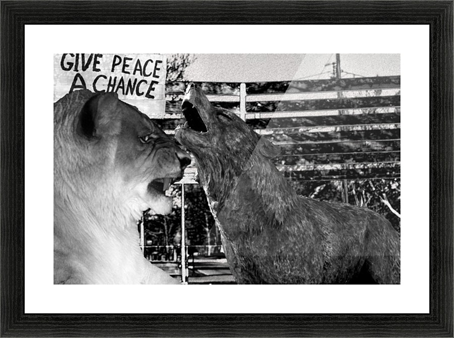 Fierce Picture Frame print