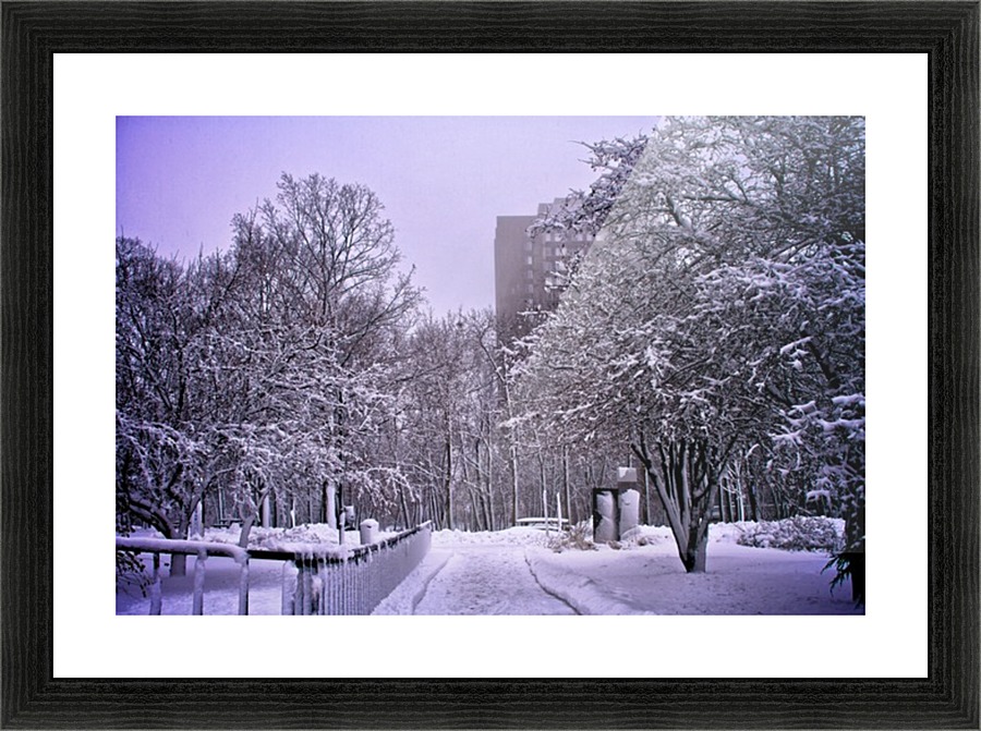 Winter Road Picture Frame print