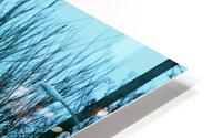 Frost HD Metal print