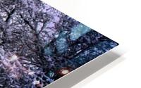 Winter Road HD Metal print