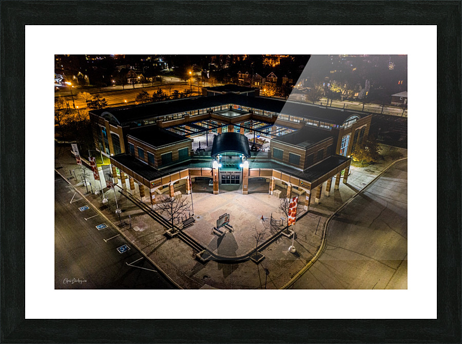 Corner Library Picture Frame print