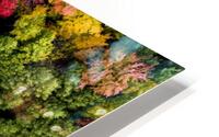 Above a Triangular Pond HD Metal print