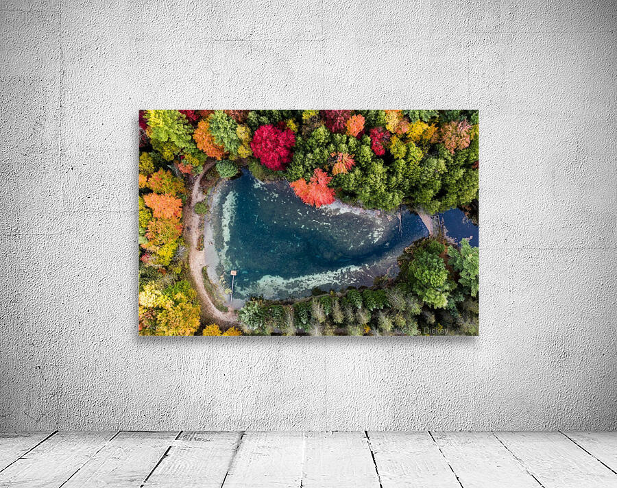 Above a Triangular Pond Wall Preview