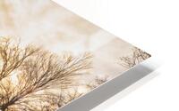 Oyster River 1 HD Metal print