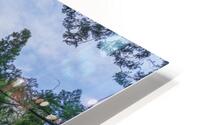 The Wedding HD Metal print