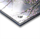 MEDITATION - 1.4 – Free Shipping Acrylic print