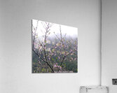 MEDITATION - 1.4 – Free Shipping Acrylic Print