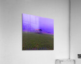 FIELD - 1.4 – Free Shipping Acrylic Print