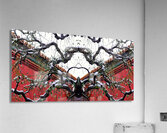 GLANCE - 1.2 – Free Shipping Acrylic Print