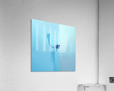 GLANCE - 1001.3 – Free Shipping Acrylic Print