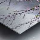 MEDITATION - 1.4 – Free Shipping Metal print