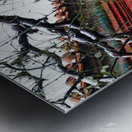 GLANCE - 1.2 – Free Shipping Metal print