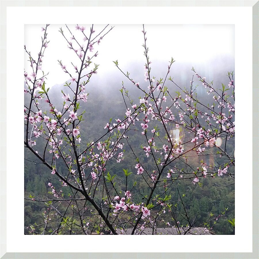 MEDITATION - 1.4 – Free Shipping Picture Frame print