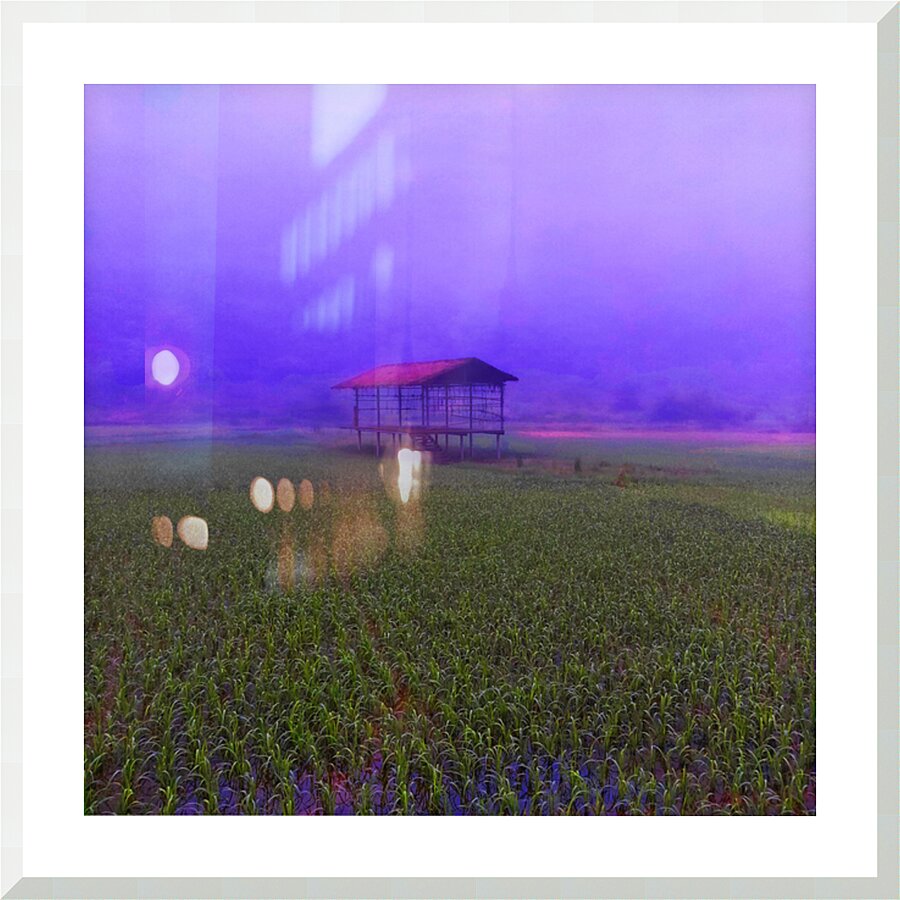 FIELD - 1.4 – Free Shipping Picture Frame print